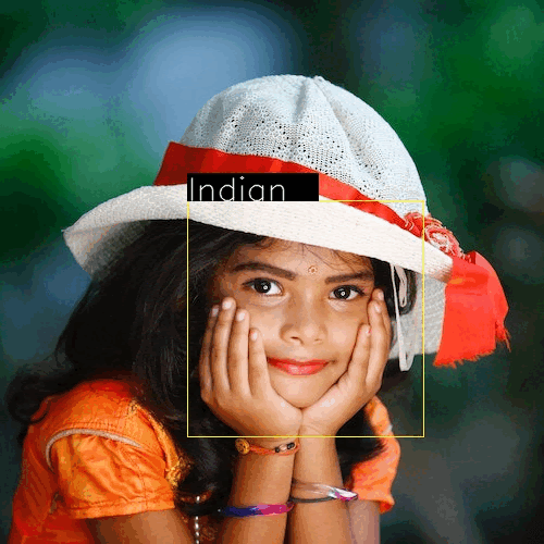 Ethnicity Detection & Identification With Efficiency